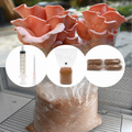 Kit de cultivare ciuperci acasa - Pleurotus djamor (Pleurotus Roz)