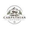 CarpathianShrooms – Acasă