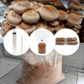 Kit de cultivare ciuperci acasa - Shiitake (Lentinula edodes)