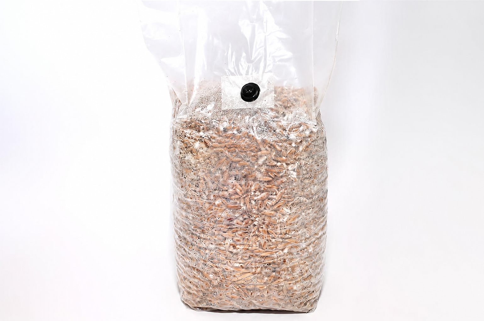 Miceliu pe grane 1 kg – disponibil pe bază de precomandă